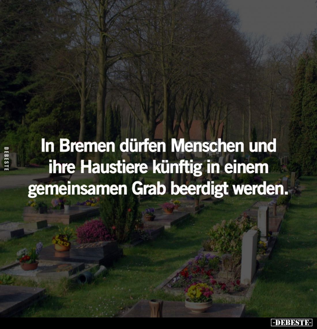 In Bremen dürfen Menschen und ihre Haustiere künftig in einem gemeinsamen Grab beerdigt werden.
