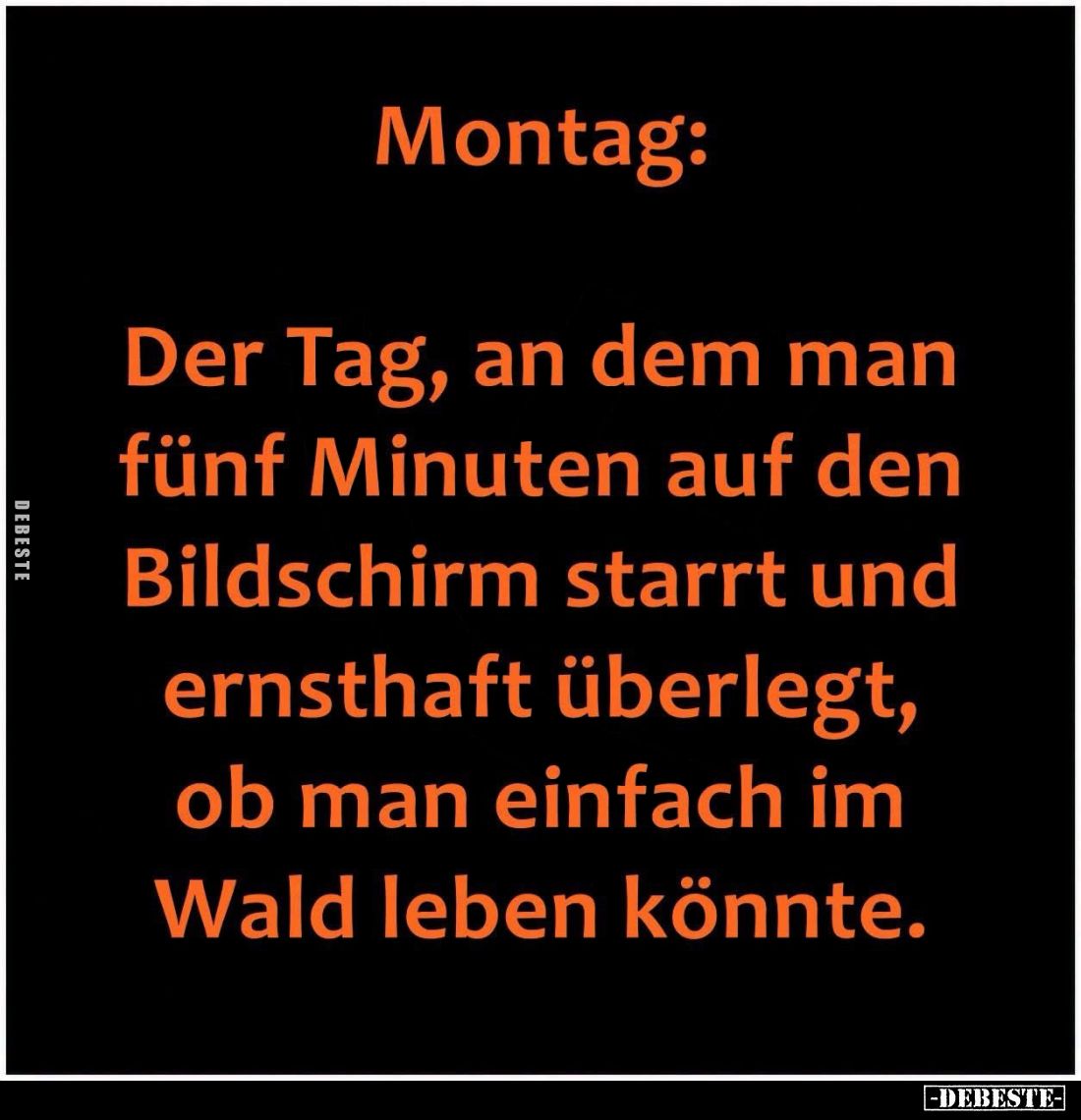 Montag: Der Tag, an dem man fünf Minuten auf den Bildschirm.. - Lustige Bilder | DEBESTE.de
