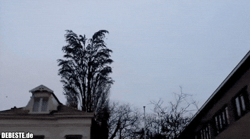  - Lustige Bilder | DEBESTE.de