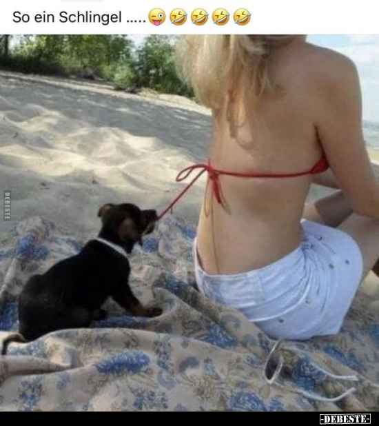 So ein Schlingel .....