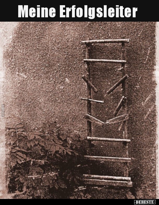Meine Erfolgsleiter..