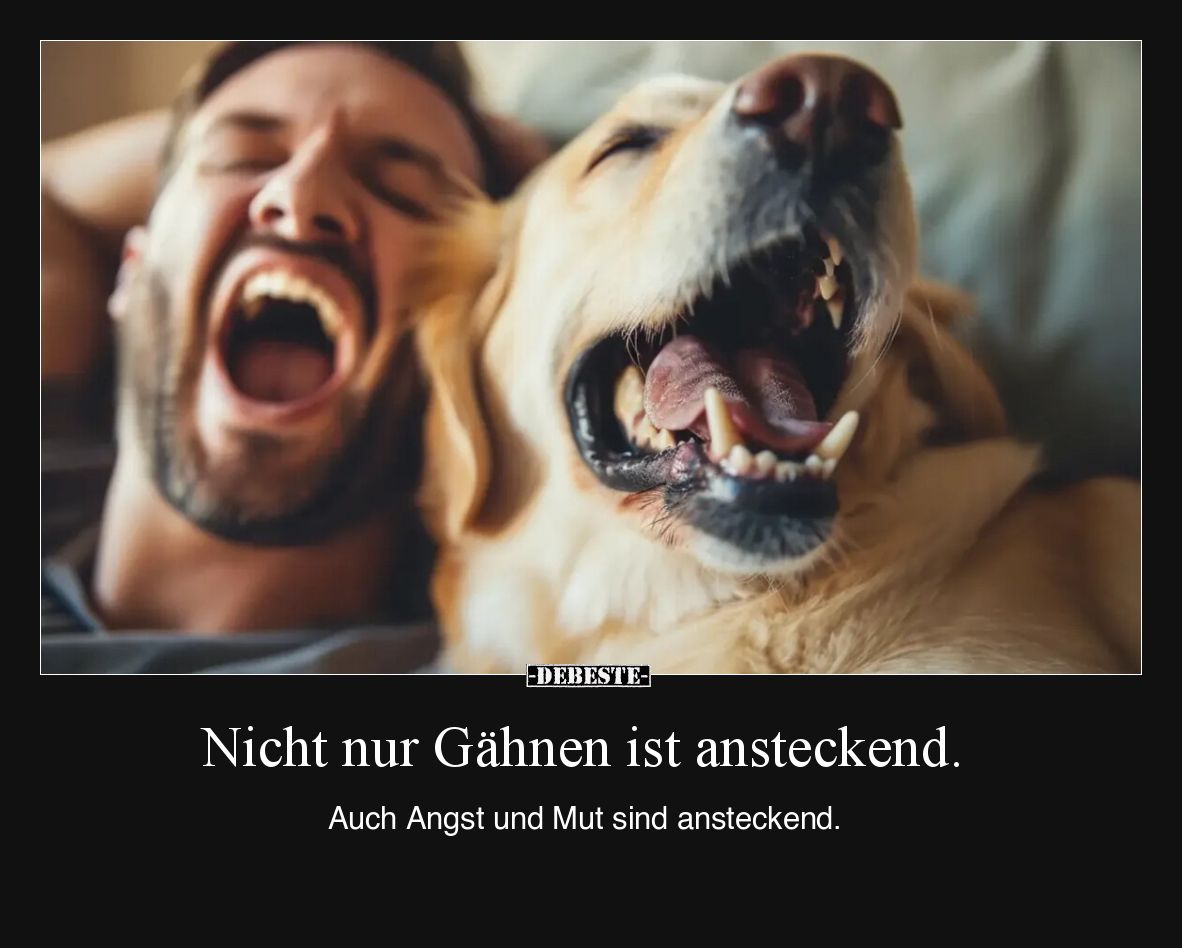 Nicht nur Gähnen ist ansteckend.

Auch Angst und Mut sind ansteckend.