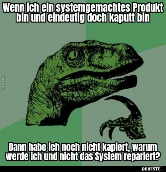 Wenn ich ein systemgemachtes Produkt bin und eindeutig doch kaputt bin Dann habe ich noch nicht kapiert, warum werde ich und ...