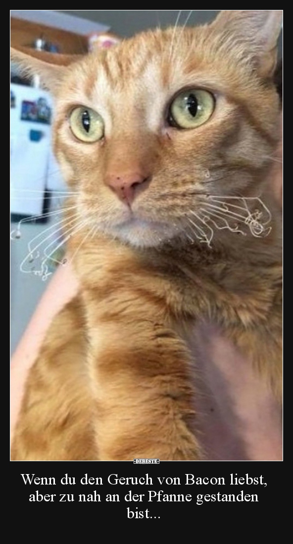 Wenn du den Geruch von Bacon liebst, aber zu nah an der..