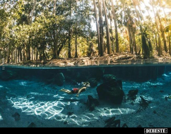  - Lustige Bilder | DEBESTE.de