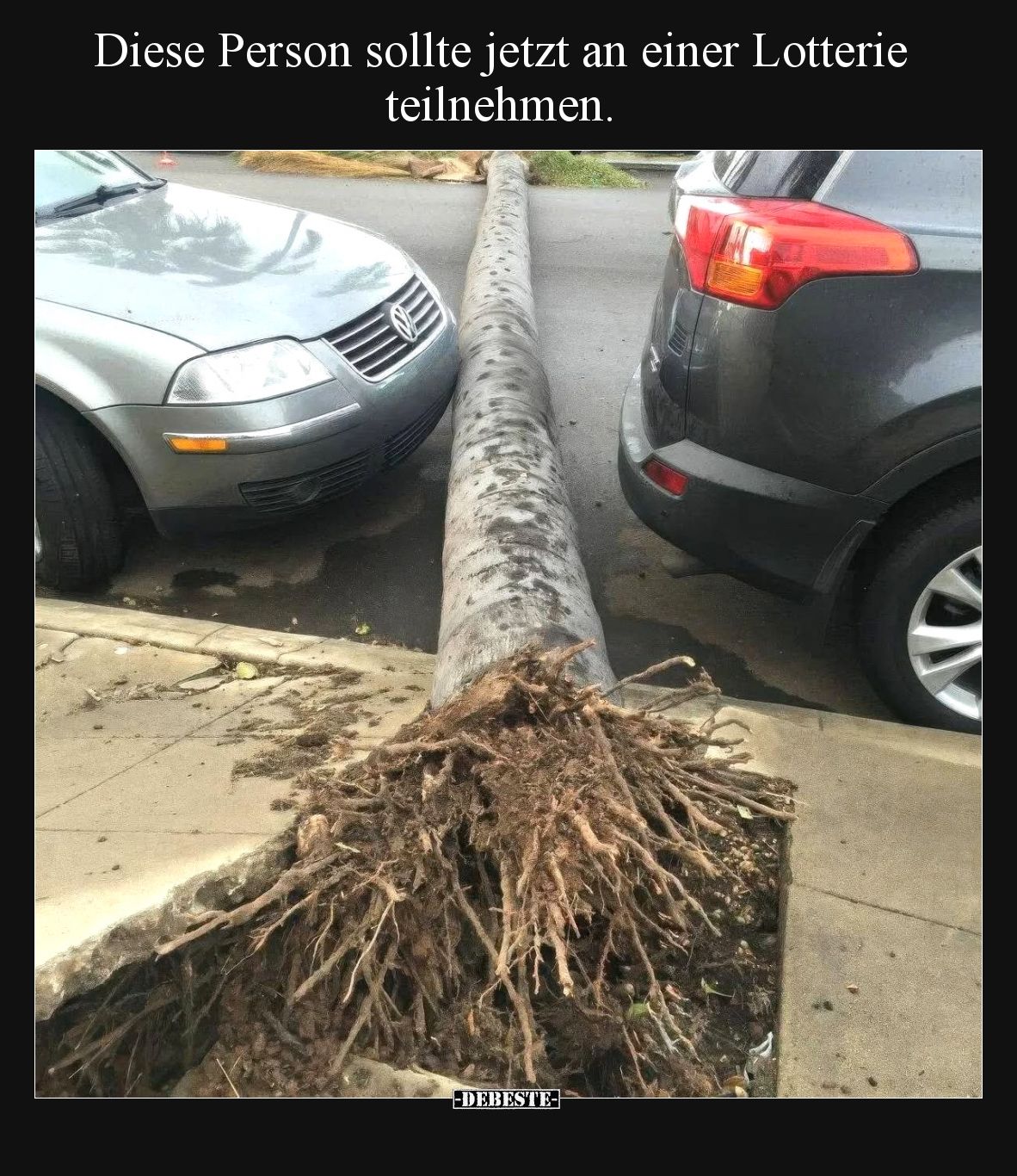 Diese Person sollte jetzt an einer Lotterie teilnehmen.