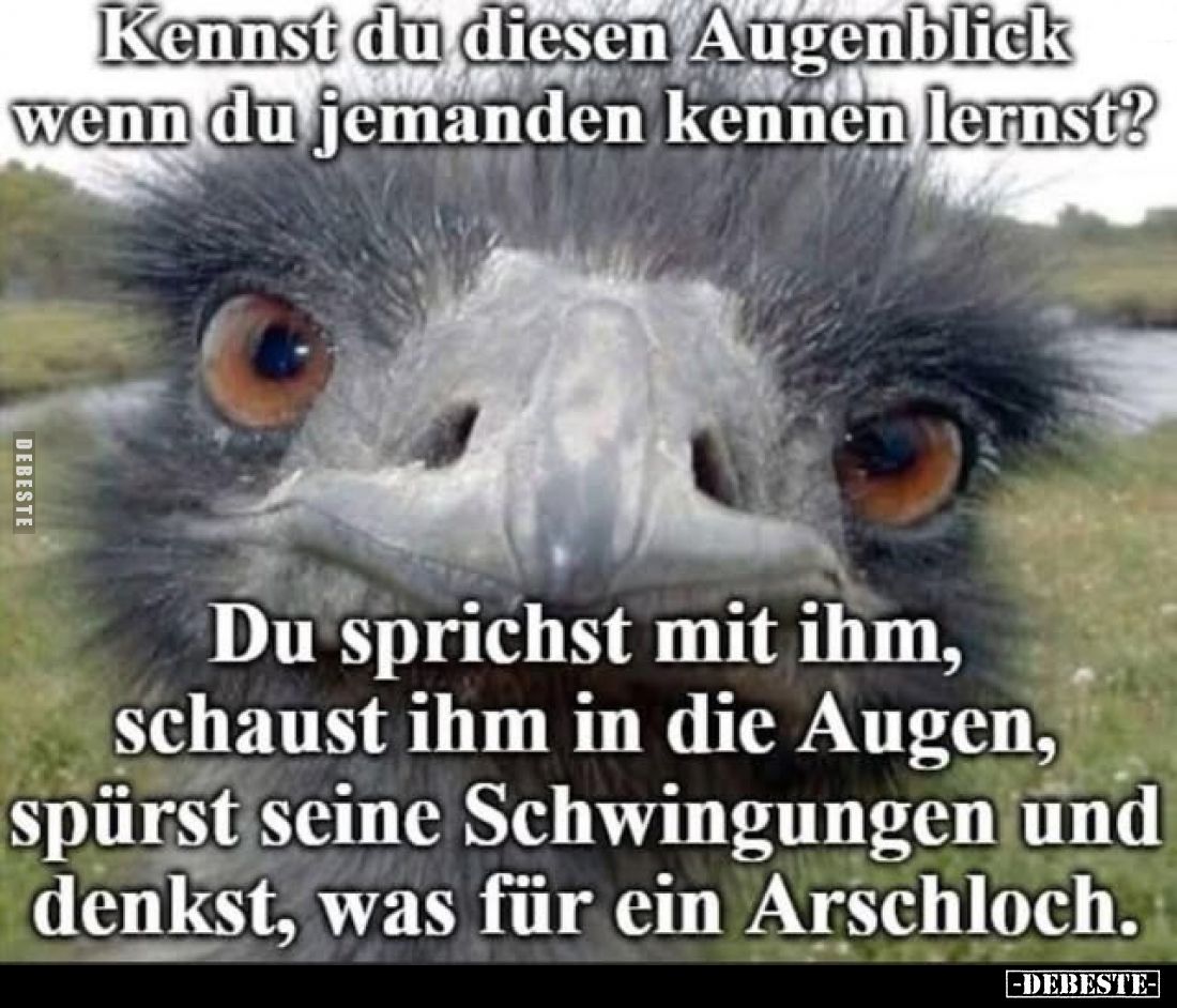 Kennst du diesen Augenblick wenn du jemanden kennen lernst?
Du sprichst mit ihm, schaust ihm in die Augen, spürst seine Schw...