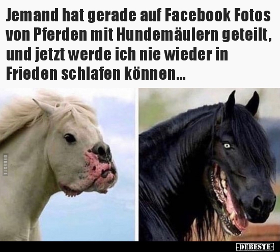 Jemand hat gerade auf Facebook Fotos von Pferden mit.. - Lustige Bilder | DEBESTE.de