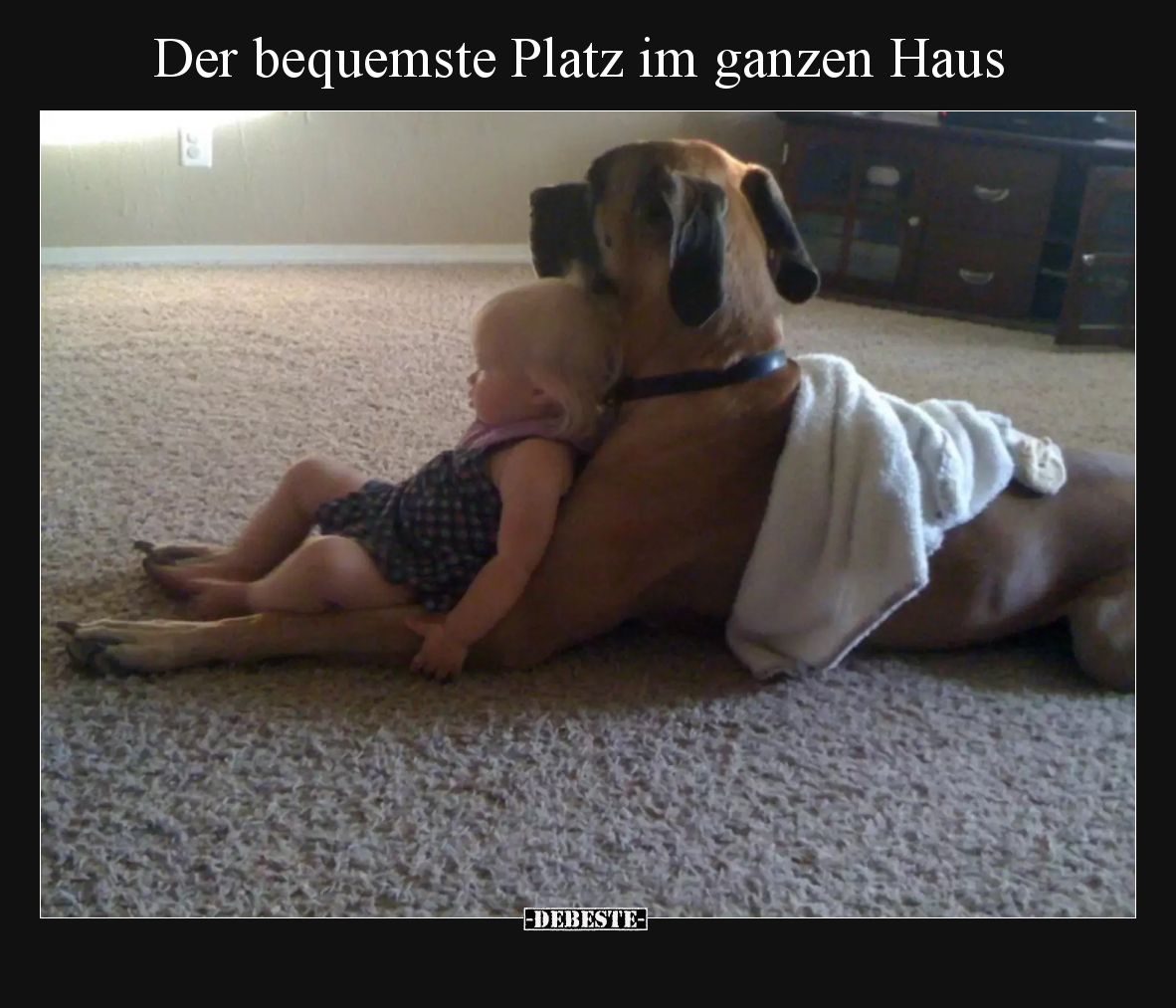 Der bequemste Platz im ganzen Haus