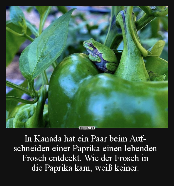 In Kanada hat ein Paar.. - Lustige Bilder | DEBESTE.de