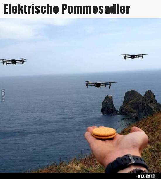 Elektrische Pommesadler..
