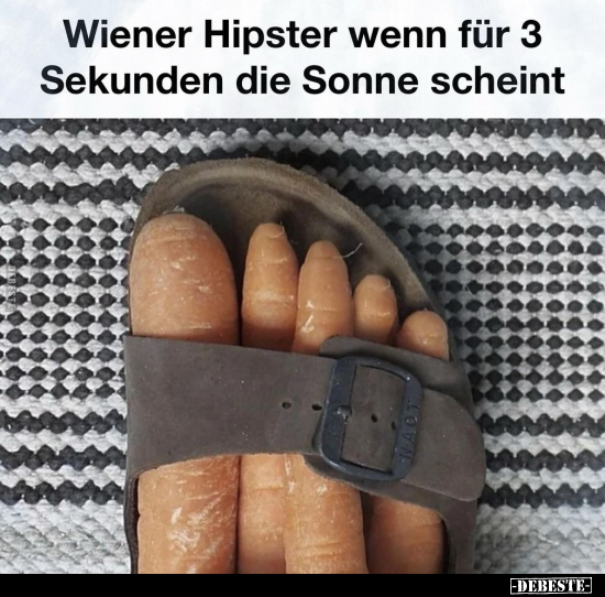 Wiener Hipster wenn für 3 Sekunden die Sonne scheint.. - Lustige Bilder | DEBESTE.de