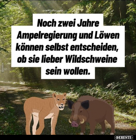 Noch zwei Jahre Ampelregierung und Löwen können selbst.. - Lustige Bilder | DEBESTE.de