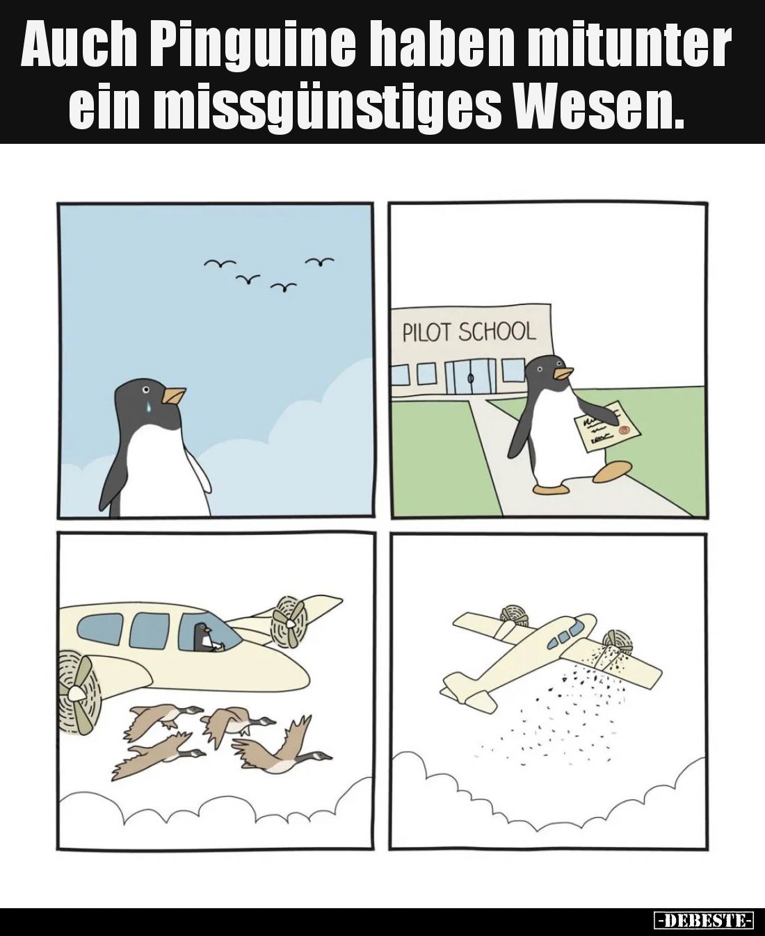 Auch Pinguine haben mitunter ein missgünstiges Wesen.