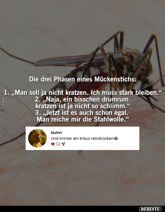 Die drei Phasen eines Mückenstichs.. - Lustige Bilder | DEBESTE.de