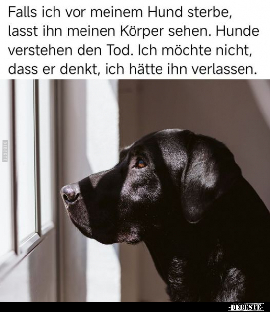 Falls ich vor meinem Hund sterbe, lasst ihn meinen Körper.. - Lustige Bilder | DEBESTE.de