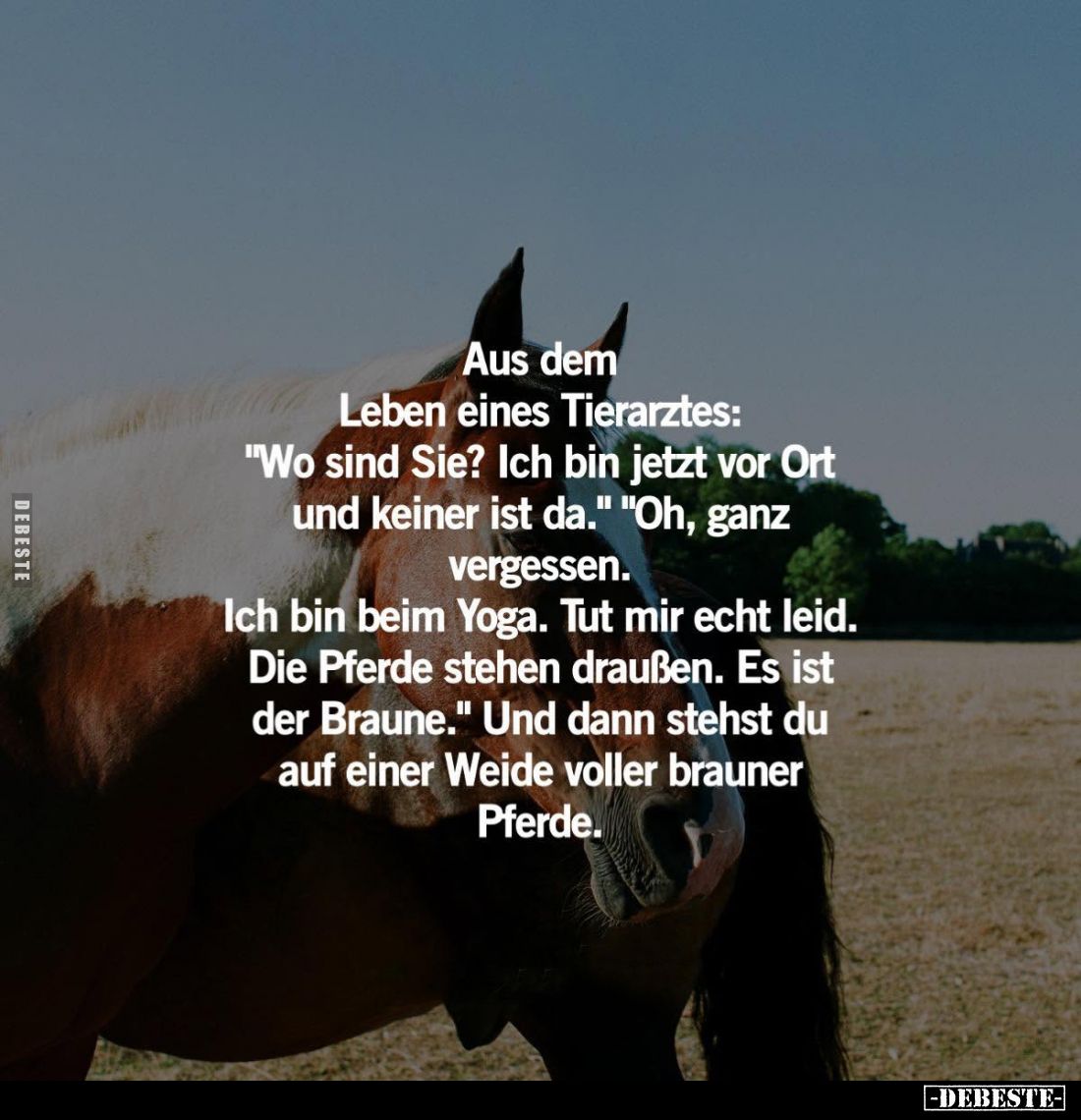 Aus dem Leben eines Tierarztes:
"Wo sind Sie? Ich bin jetzt vor Ort und keiner ist da." - "Oh, ganz vergessen...