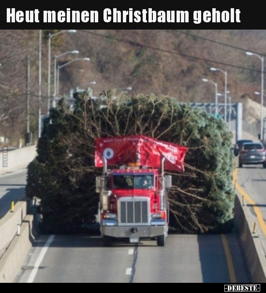 Heut meinen Christbaum geholt... - Lustige Bilder | DEBESTE.de