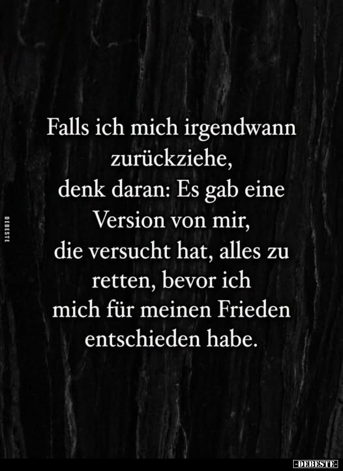 Falls ich mich irgendwann zurückziehe, denk daran: Es gab eine Version von mir, die versucht hat, alles zu retten, bevor ich ...