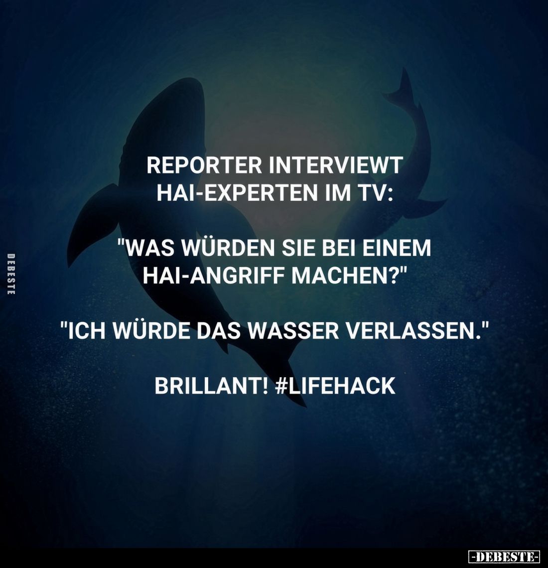 Reporter interviewt Hai-Experten im TV:
"Was würden Sie bei einem Hai-Angriff machen?"
"Ich würde das Wasser...