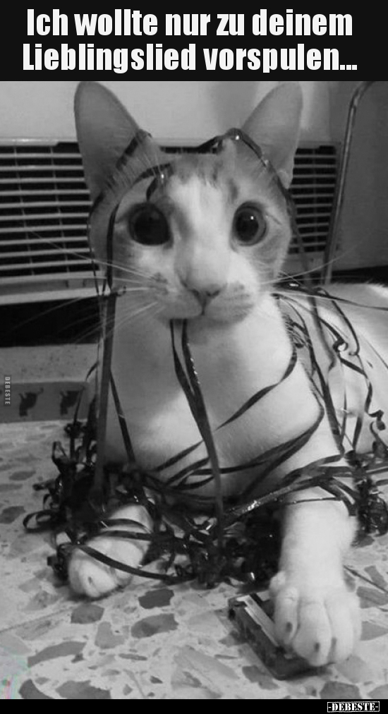 Ich wollte nur zu deinem Lieblingslied vorspulen...