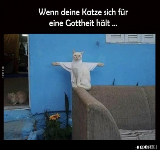 Wenn deine Katze sich für eine Gottheit hält... - Lustige Bilder | DEBESTE.de