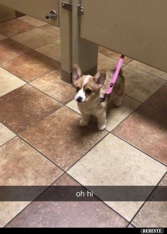  - Lustige Bilder | DEBESTE.de