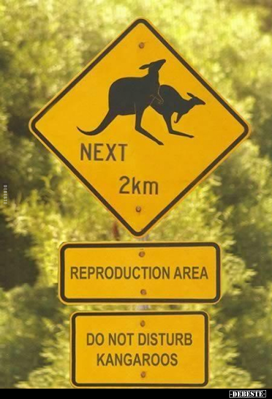  - Lustige Bilder | DEBESTE.de