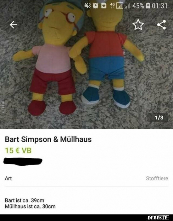 Bart Simpson & Müllhaus..