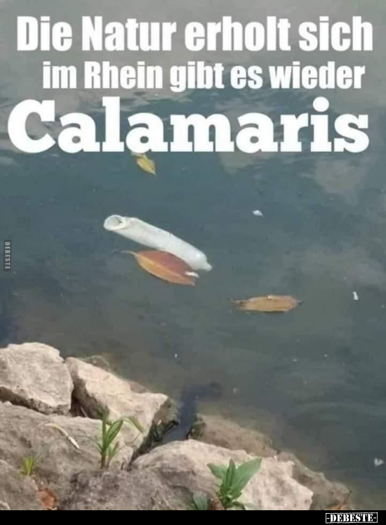 Die Natur erholt sich im Rhein gibt es wieder Calamaris.. - Lustige Bilder | DEBESTE.de