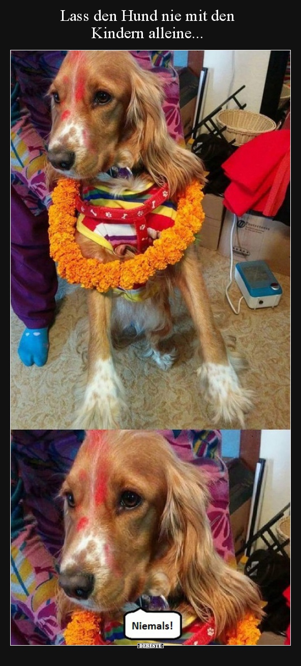 Lass den Hund nie mit den Kindern alleine...