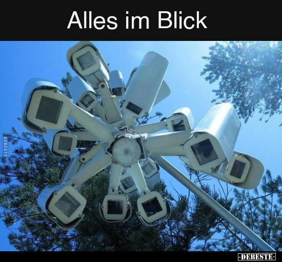 Alles im Blick.. - Lustige Bilder | DEBESTE.de