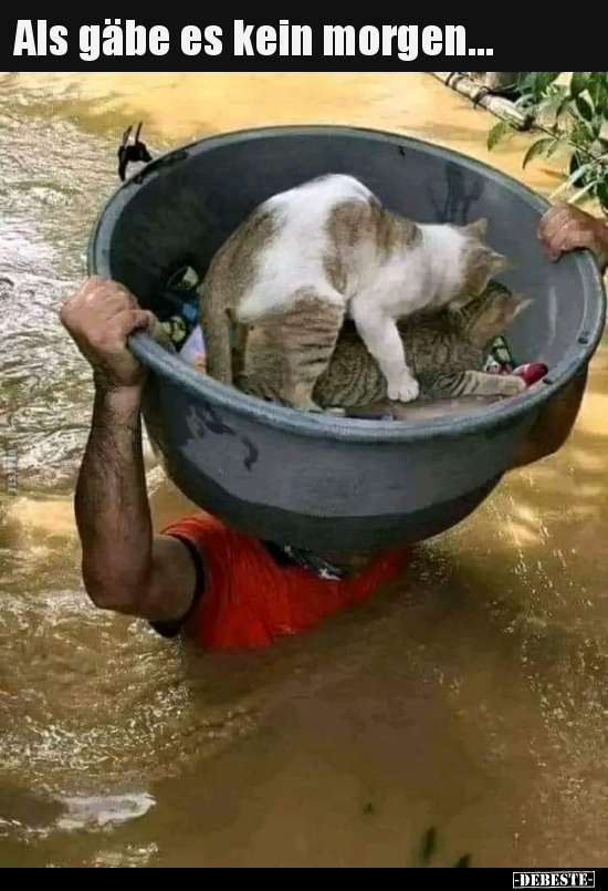 Als gäbe es kein morgen...