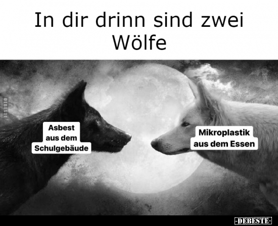 In dir drinn sind zwei Wölfe.. - Lustige Bilder | DEBESTE.de