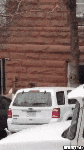 Türstreiche sind! witzig