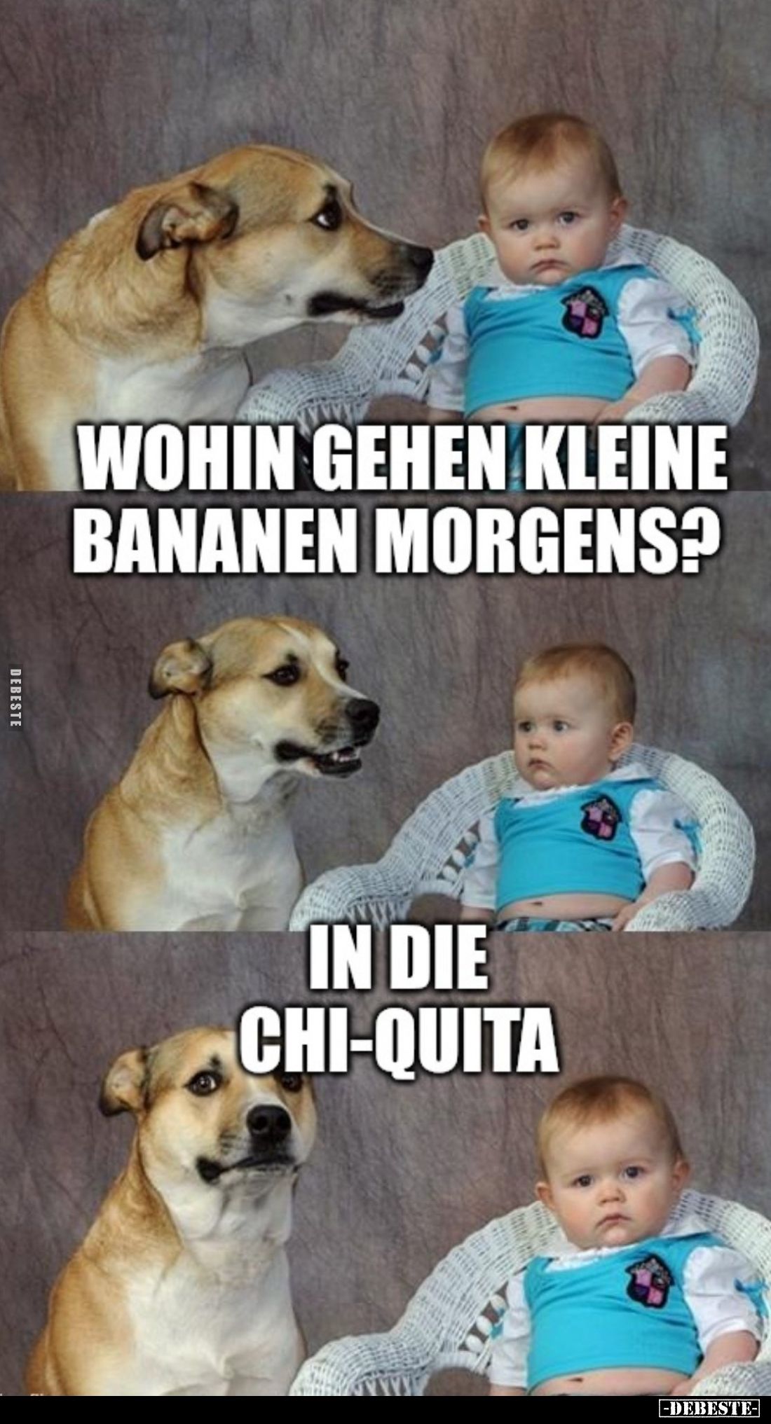 Wohin gehen kleine Bananen morgens? - In die Chi-quita.