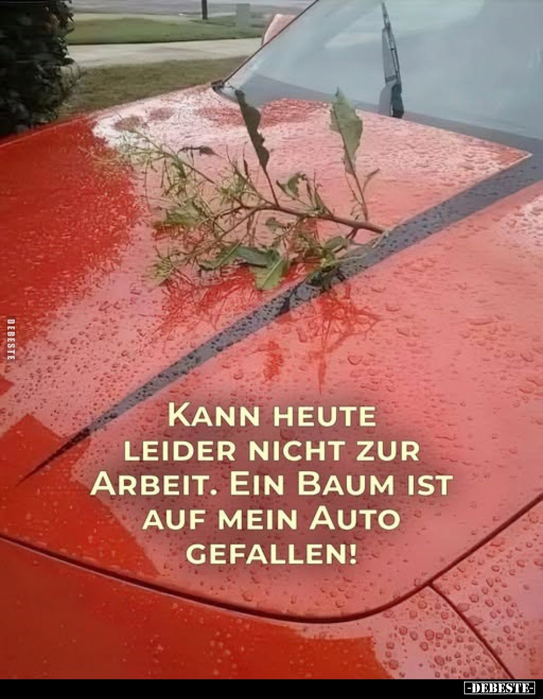 Kann heute leider nicht zur Arbeit. Ein Baum ist auf mein Auto gefallen!