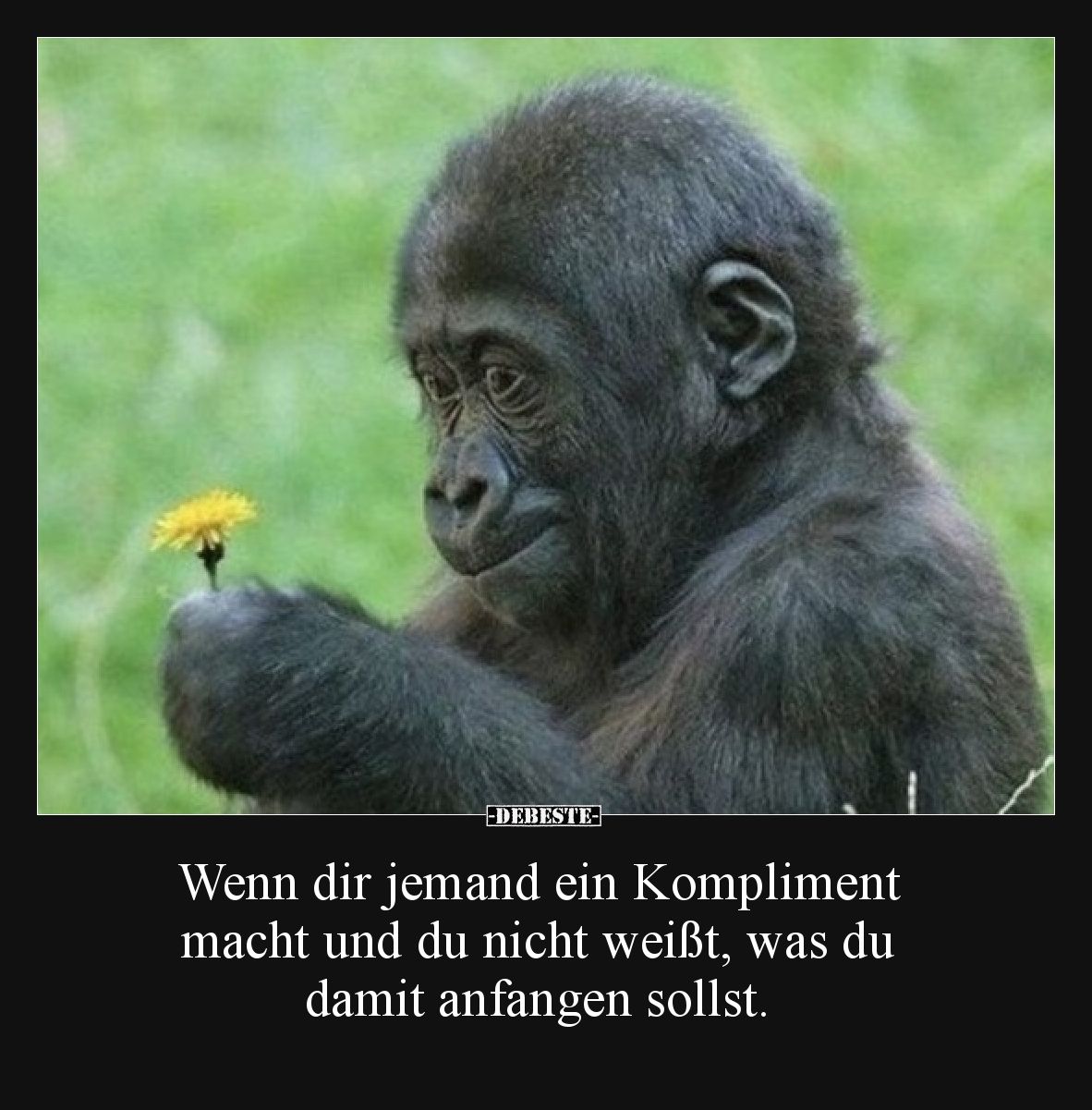 Wenn dir jemand ein Kompliment macht und du nicht weißt, was du damit anfangen sollst.