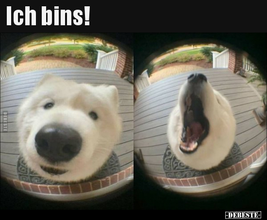 Ich bins!