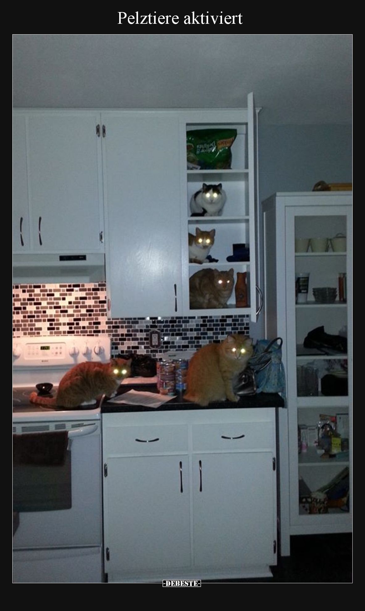 Pelztiere aktiviert