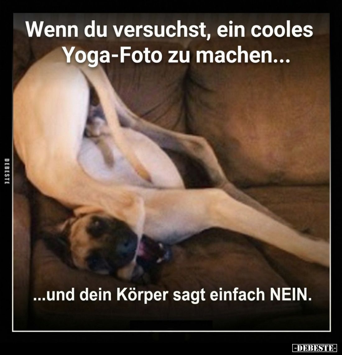 Wenn du versuchst, ein cooles Yoga-Foto zu machen...
...und dein Körper sagt einfach NEIN.