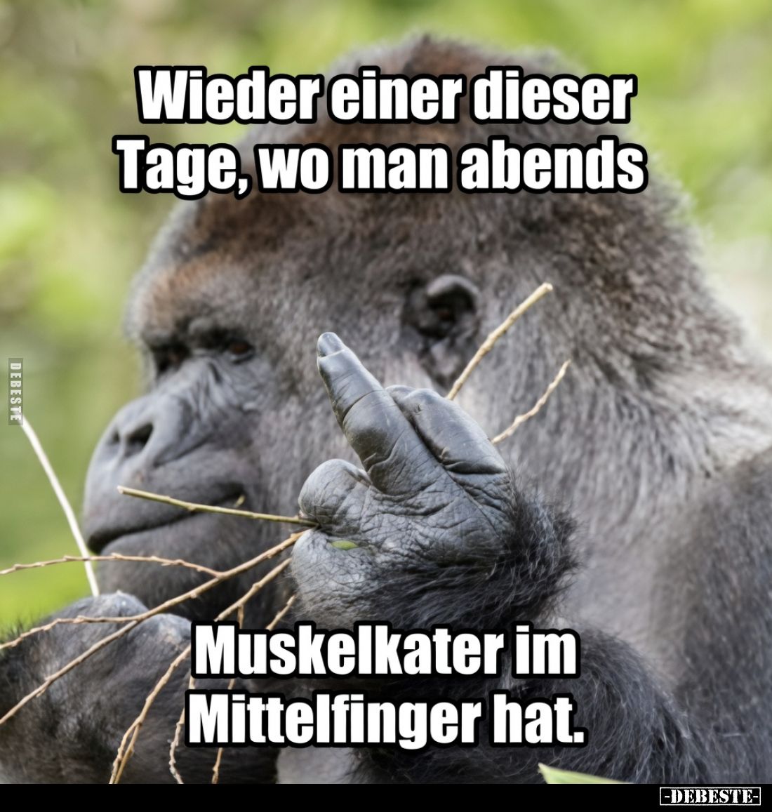 Wieder einer dieser Tage, wo man abends.
Muskelkater im Mittelfinger hat.