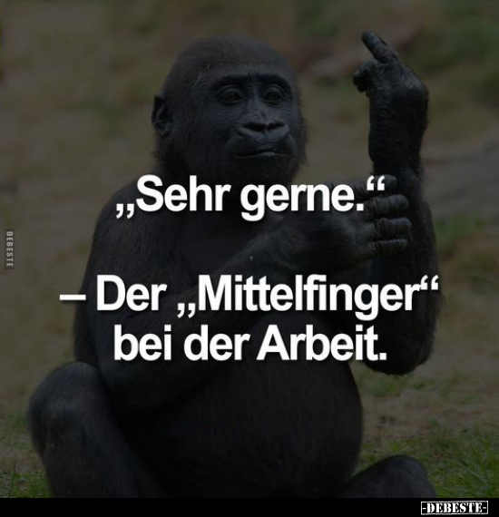 " Sehr gerne." - Der " Mittelfinger" bei der Arbeit.. - Lustige Bilder | DEBESTE.de