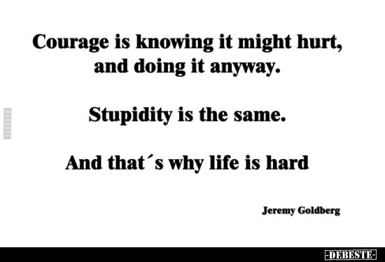 Courage is knowing it might hurt, and doing it anyway. Stupidity is the ...