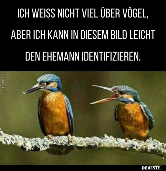 Ich weiss nicht viel über Vögel, aber ich kann in diesem.. - Lustige Bilder | DEBESTE.de