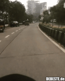 Dieser Hund hat ein entspanntes Leben..