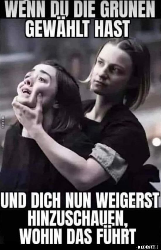 Wenn du die Grünen gewählt hast
und dich nun weigerst hinzuschauen, wohin das führt.