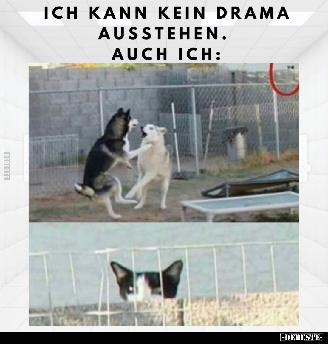 Ich kann kein Drama ausstehen. Auch ich: