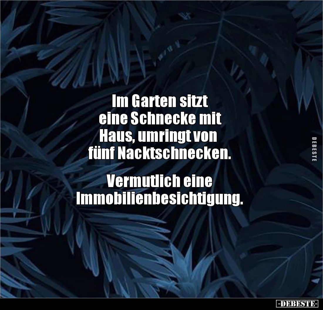 Im Garten sitzt
eine Schnecke mit
Haus, umringt von
fünf Nacktschnecken.
Vermutlich eine
Immobilienbesichtigung.