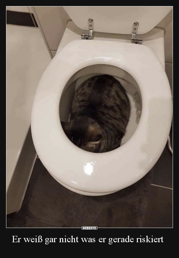 Er weiß gar nicht was er gerade riskiert..
